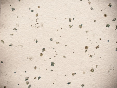 A detailed texture of a handmade paper.