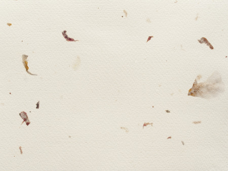 A detailed texture of a handmade paper.の写真素材