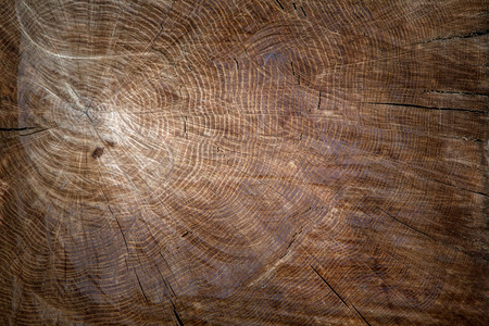 the texture of wood for background or designの写真素材