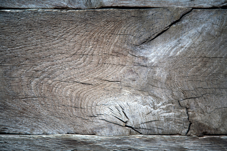 the texture of wood for background or designの写真素材