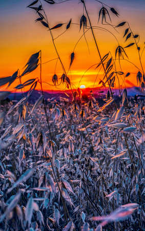 beautiful dramatic sunset phone wallpaperの写真素材