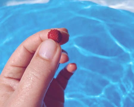 Wild strawberry in summer. pool in the background.
