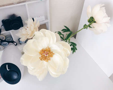 Flower in vase photographed from above.
