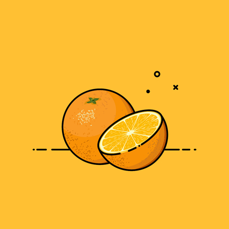 Orange fruit half open in orange background. Flat vector illustration.のイラスト素材