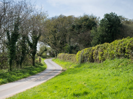 Scenic English green countryside landscape with road  and blue cloudscapeの写真素材