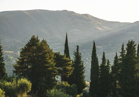 Treetops and mountains on the background. Blue sky morning light.の写真素材
