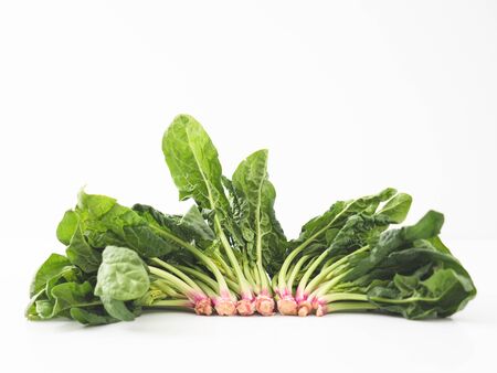 Spinach leafs and stems isolated on whiteの写真素材