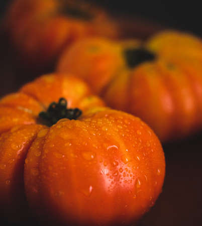 Fresh Spanish tomatoes close up. Black background. Angle view. Depth of field.の写真素材