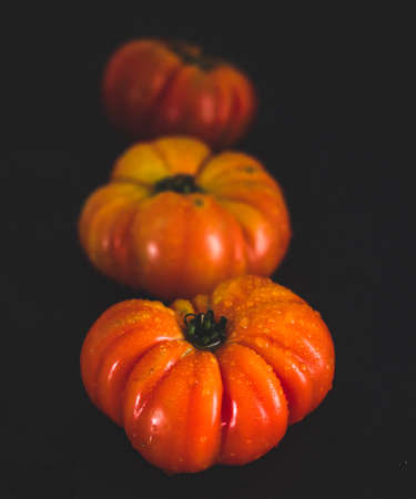 Fresh Spanish tomatoes close up. Black background. Angle view. Depth of field.の写真素材
