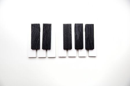 Piano keys on a white background. Learn music. School of Music. Toy piano.の写真素材