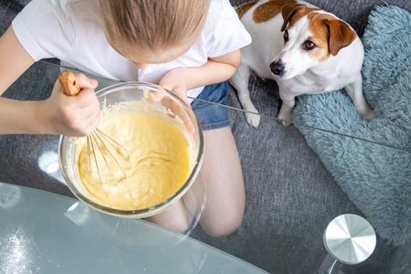 A girl in a white T-shirt stirs the dough with a whisk in a glass bowl, and a hungry dog, Jack Russell, sits nearby. Cook at home. Dough for waffles. Friendship of a child and a dog.の写真素材