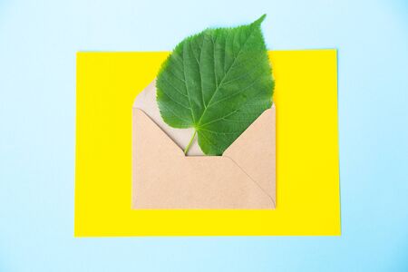 Green sheet of linden in an envelope from kraft paper on a sky blue and yellow background. Eco-friendly, recycled. Caring for nature. Environmental protection. Mail message. News from afar.Empty spaceの写真素材