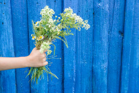 A bouquet of wildflowers in hand on the background of a blue wooden wall. Gift, surprise for mothers...