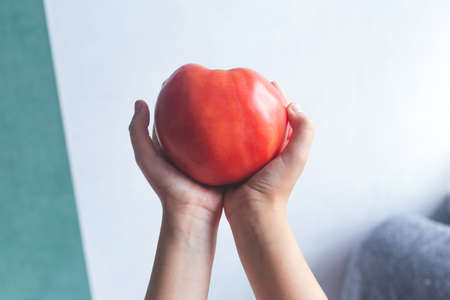 A large red tomato in the shape of a heart in hands on a light background. Love symbol, Valentines day. Cardiology, medicine, health.の写真素材