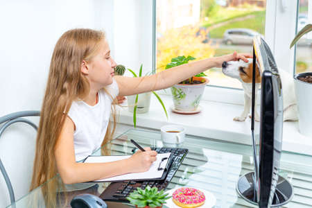 A 10-11 year old Caucasian girl draws, does her homework at the computer by window, strokes the head of a dog sitting on the windowsill near indoor plants. Home schooling, home school. Love for pets.の写真素材