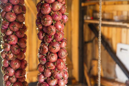 Long bundles of red onions are suspended from the ceiling of a wooden vegetable store. Organic...