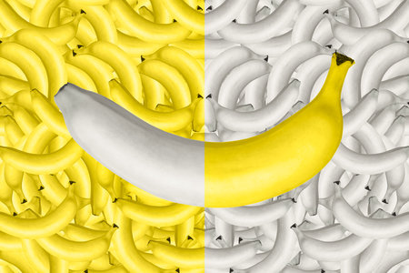 Universal beautiful yellow background from ripe bananas. Abstract banana collage. Concept of healthy food, vegetarianismの写真素材