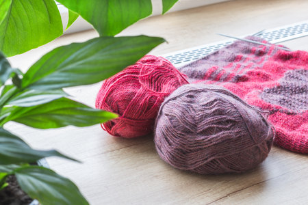 On the window are clews of colored wool thread knitting and houseplant.