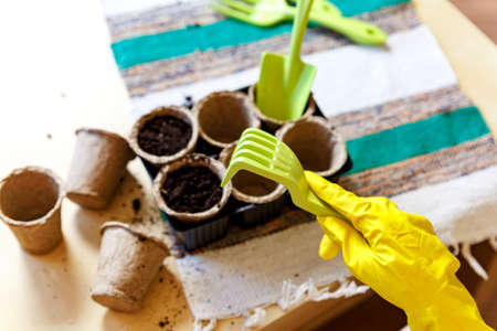 The process of planting seedlings in peat pots, top view. Garden tools.の写真素材
