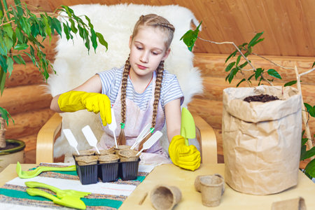 A girl in an apron and gloves is preparing for the spring planting of seedlingsの写真素材