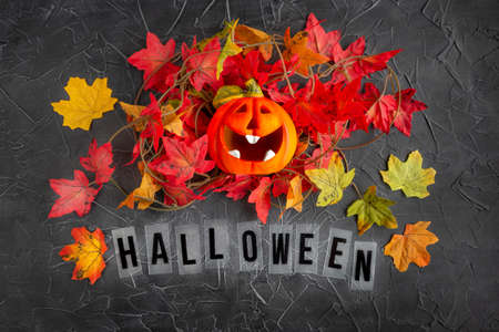 Laughing pumpkin in a maple leaves on a black textured background, text - Halloween. Halloween poster, postcard, ready-made template. Traditional character jack-o-lantern.の写真素材