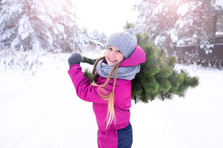 On a frosty winter sunny day, a happy girl 10-11 years in winter clothes carrying a Christmas tree home, to decorate for the holiday, smiling, looking at camera. Winter Holidays Eve.の写真素材