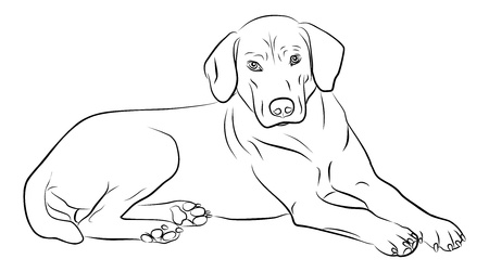 dog silhouette isolated - freehand, vector illustrationのイラスト素材