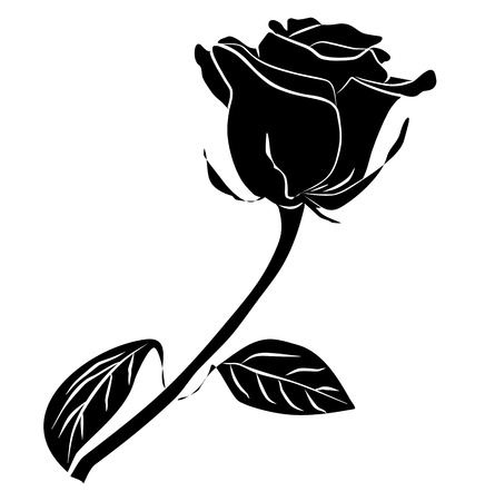 black rose silhouette - freehand on a white background, vector illustration black rose silhouette - freehand on a white background, vector illustration