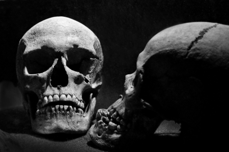 Two skulls on a black background