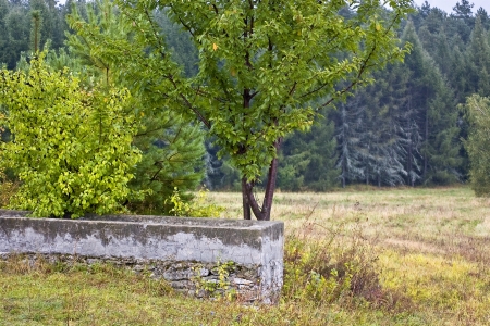 Polish landscapes - Roztocze Hills - Dahanyの写真素材