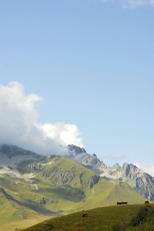 alpesの写真素材