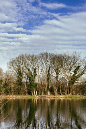 Landscape with trees, reflecting in the water france