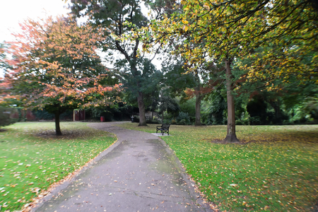 Park Pathの写真素材