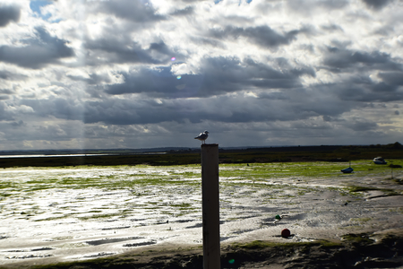 Seafront Low Tideの写真素材