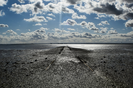 Road Going Into The Seaの写真素材