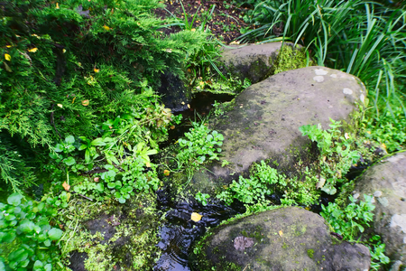 Flowing Waterの写真素材