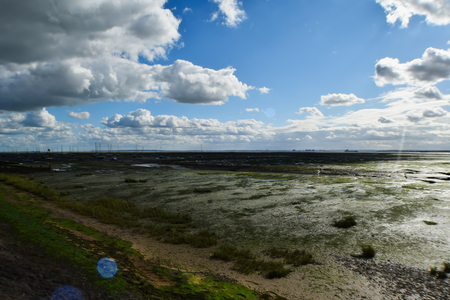Seafront Low Tideの写真素材