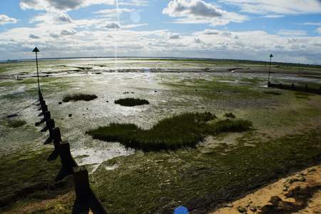 Seafront Low Tideの写真素材