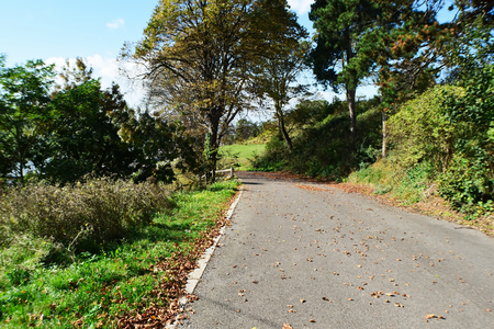 Nature Roadの写真素材