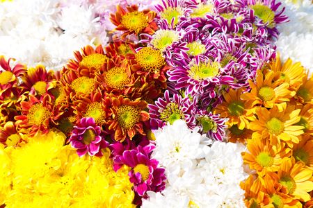 flowers bouquet shooting from the top point of view. multicolored flowers backgroundの写真素材