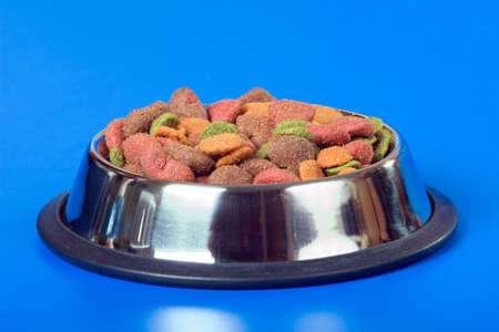 Dry dog food in metal plate on blue background