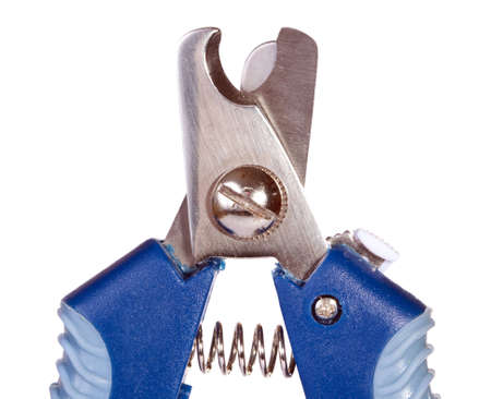 claw clippers isolated on a white backgroundの写真素材