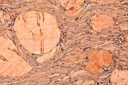 Close-up pattern of cork texture backgroundの写真素材