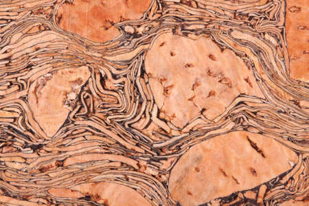 Close-up pattern of cork texture backgroundの写真素材