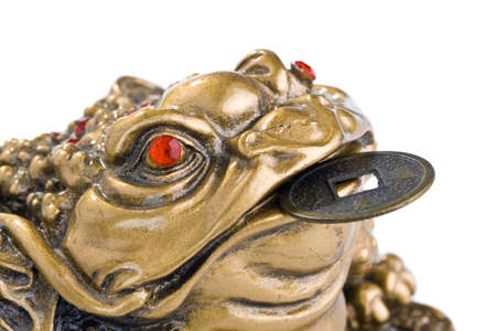 Chinese Feng Shui Frog with coins. Isolated on whiteの写真素材