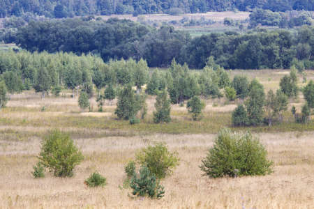 Rural landscape in a summer dayの写真素材