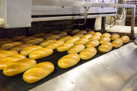 Baked Breads on production line at bakery
