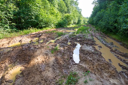 Muddy road  