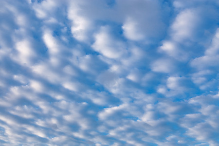 Morning cirrus clouds against a blue sky