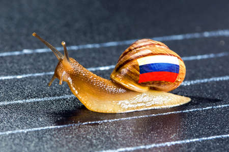 Snail under Russian flag on sports track moves to finish line